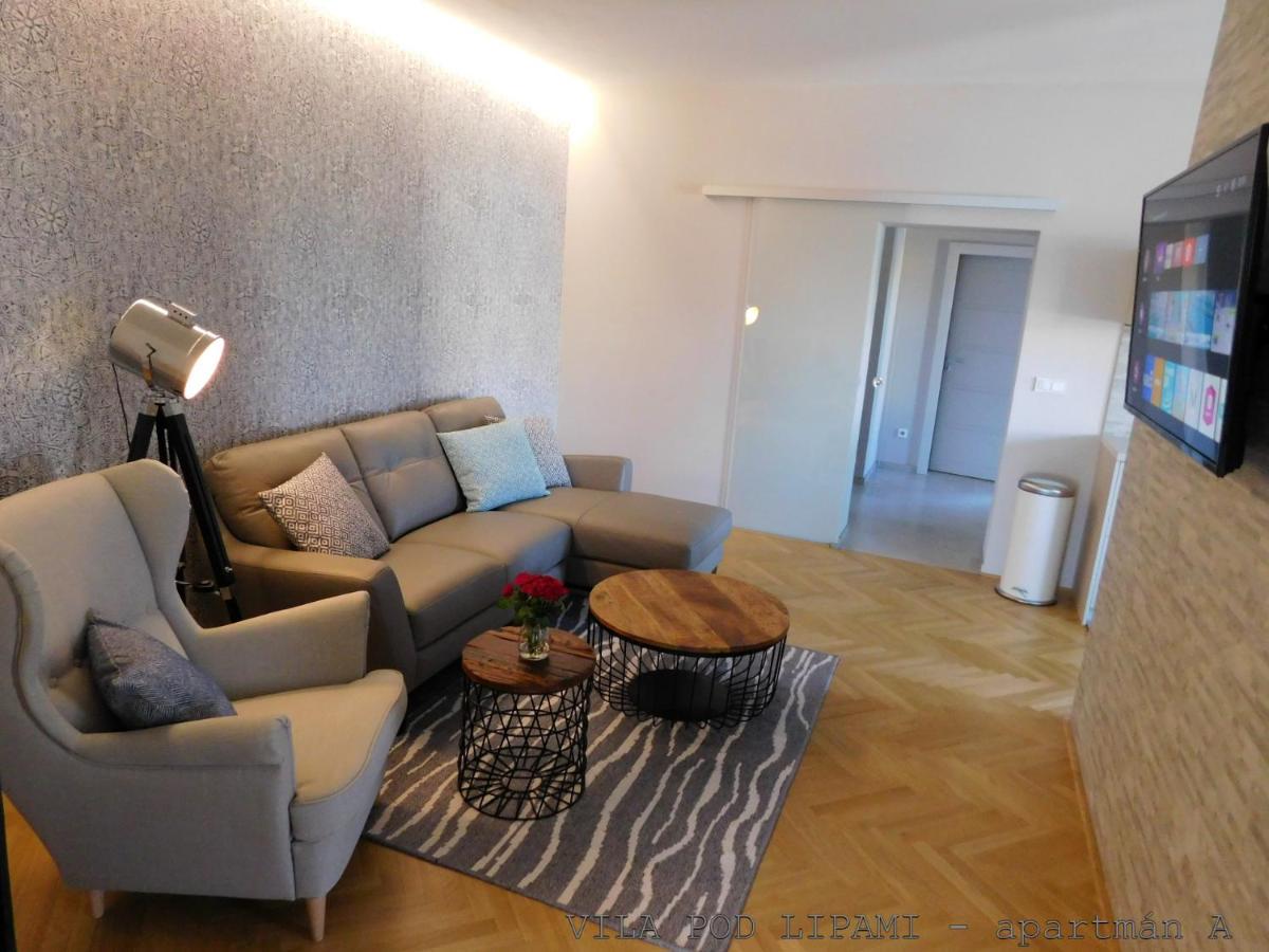 Vila Pod Lipami Apartment Bruntál Exterior photo